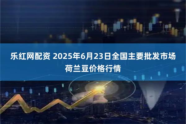 乐红网配资 2025年6月23日全国主要批发市场荷兰豆价格行情