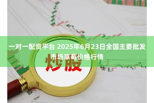 一对一配资平台 2025年6月23日全国主要批发市场草莓价格行情