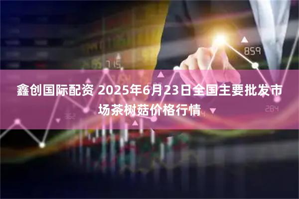 鑫创国际配资 2025年6月23日全国主要批发市场茶树菇价格行情